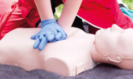 corsi-blsd2 corsi-blsd2